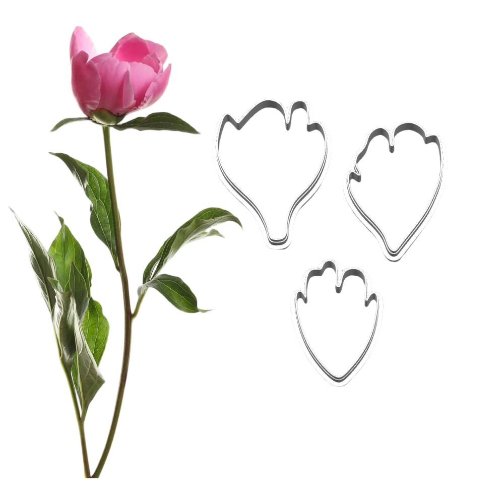 New Peony Silicone Molds&Cutte - Candle Making Workshop review and price