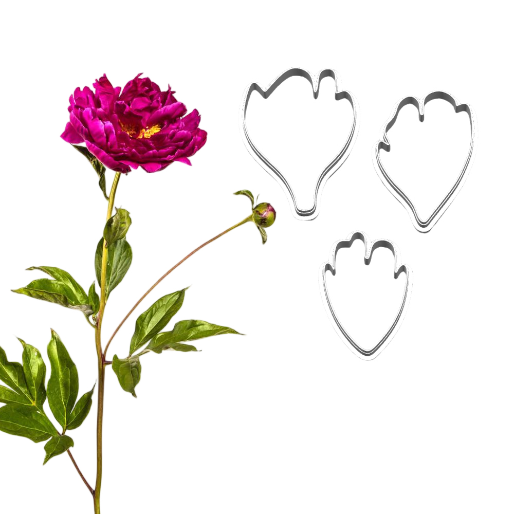 New Peony Silicone Molds&Cutte - Candle Making Workshop review and price